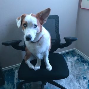 Meet your Posher, Ryan